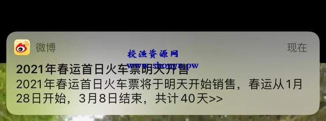 过年刚需项目，利用信息差日赚500+，代购火车票了解下！