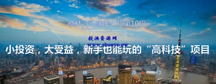 晓林冷门赚钱36招第10招小投资，大受益，新手也能玩的“高科技”项目【视频课程】