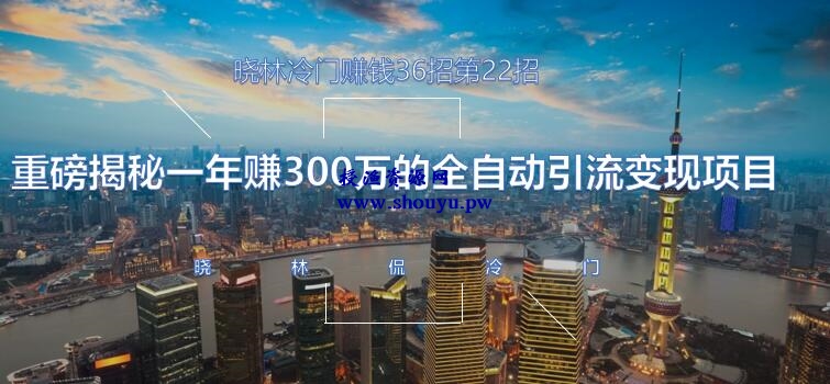 晓林冷门赚钱36招第22招重磅揭秘一年赚300万的全自动引流变现项目【视频课程】