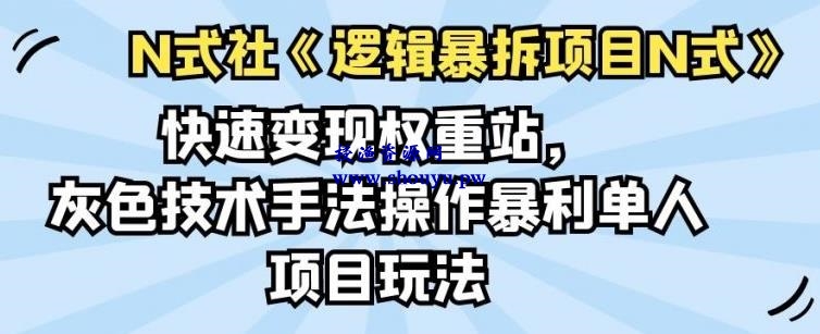 倪尔昂逻辑暴拆项目N式之03：快速变现权重站，灰色技术手法操作暴利单人项目玩法