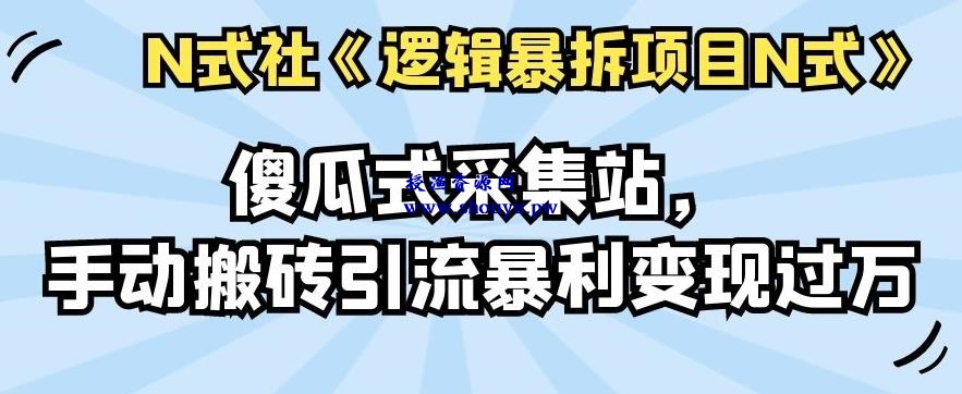 倪尔昂逻辑暴拆项目N式之06：傻瓜式采集站，手动搬砖引流暴利变现过万