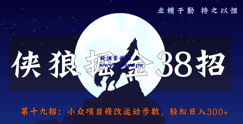 侠狼掘金38招第20招羊毛全自动采集站，点爆你的精准流量【视频课程】