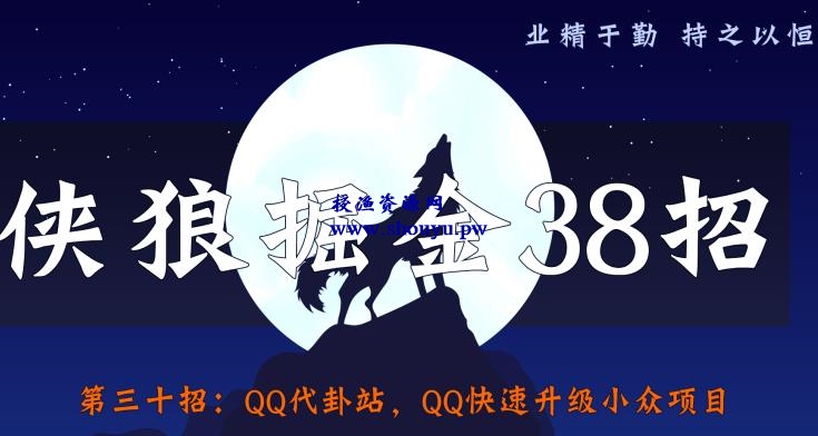 侠狼掘金38招第30招QQ代卦站，QQ快速升级小众项目【视频课程】