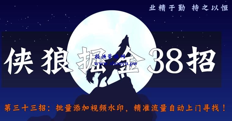 侠狼掘金38招第33招批量添加视频水印，精准流量自动上门寻找【视频课程】