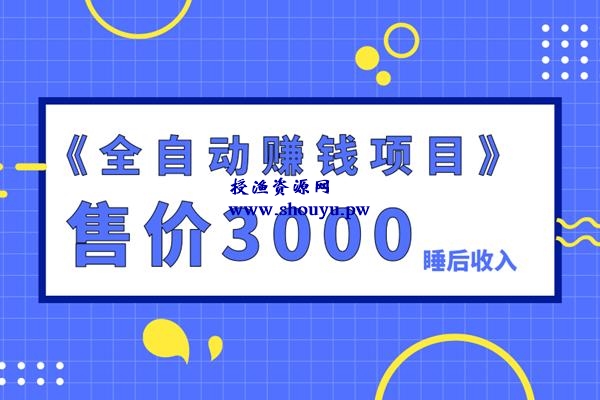 佐道副业特训营4：售价3000的全自动赚钱项目，打造睡后收入