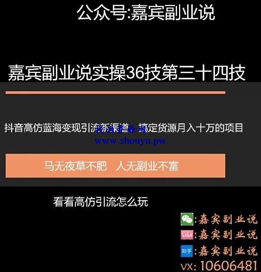 嘉宾副业说实操36技第三十四技：抖音高仿蓝海变现引流新渠道，搞定货源月入十万级别暴力项目