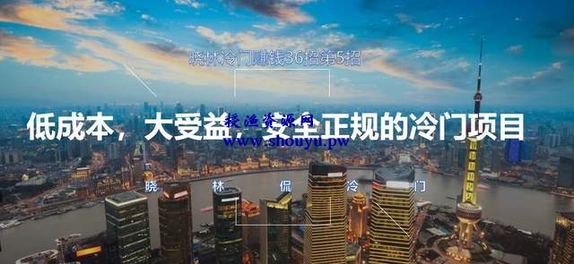 晓林冷门赚钱36招第5招低成本，大收益，安全正规的冷门项目【视频课程】