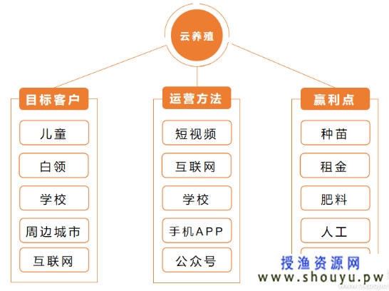 小成本的云种植创业项目，一个赚钱的小项目，投资较少