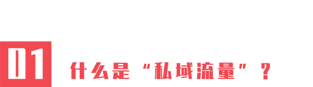 11000字全面揭露私域流量本质，手把手教你做用户增长