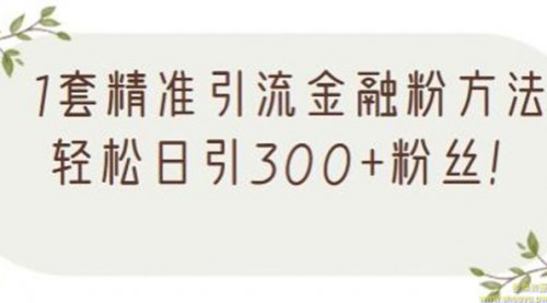 1套精准引流金融粉方法，轻松日引300+粉丝