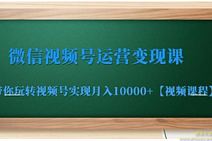 微信视频号运营变现课，带你玩转视频号实现月入10000+【视频课程】