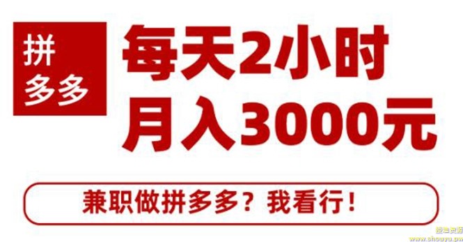 搜外网·拼多多副业课程，每天2小时月入3000元 学习这门课程真的能赚钱