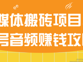 自媒体搬砖项目，头条号音频赚钱攻略！【视频教程】