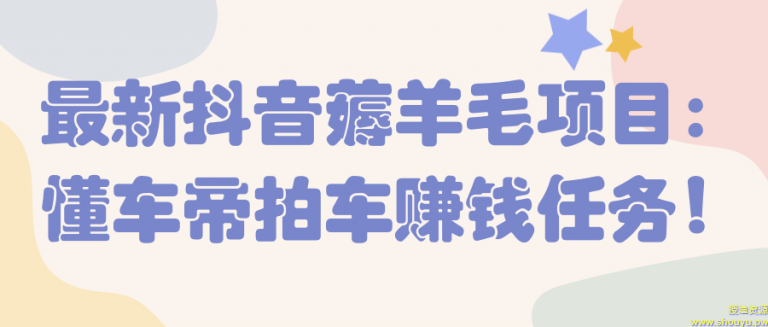 最新抖音薅羊毛项目：懂车帝拍车赚钱任务！【视频教程】